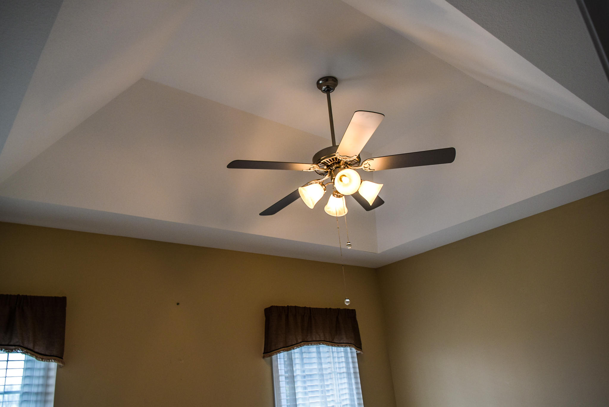 592 Sand Ridge Circle Jonesborough, TN 37659 - Photo 30 of 39 Trey ceilings in bedrooms