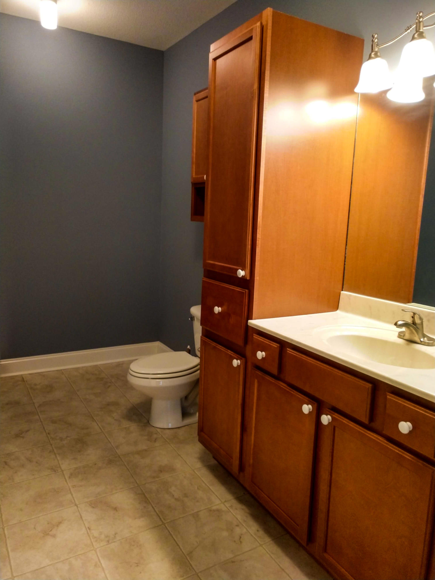 592 Sand Ridge Circle Jonesborough, TN 37659 - Photo 33 of 39 1/2 bath in basement
