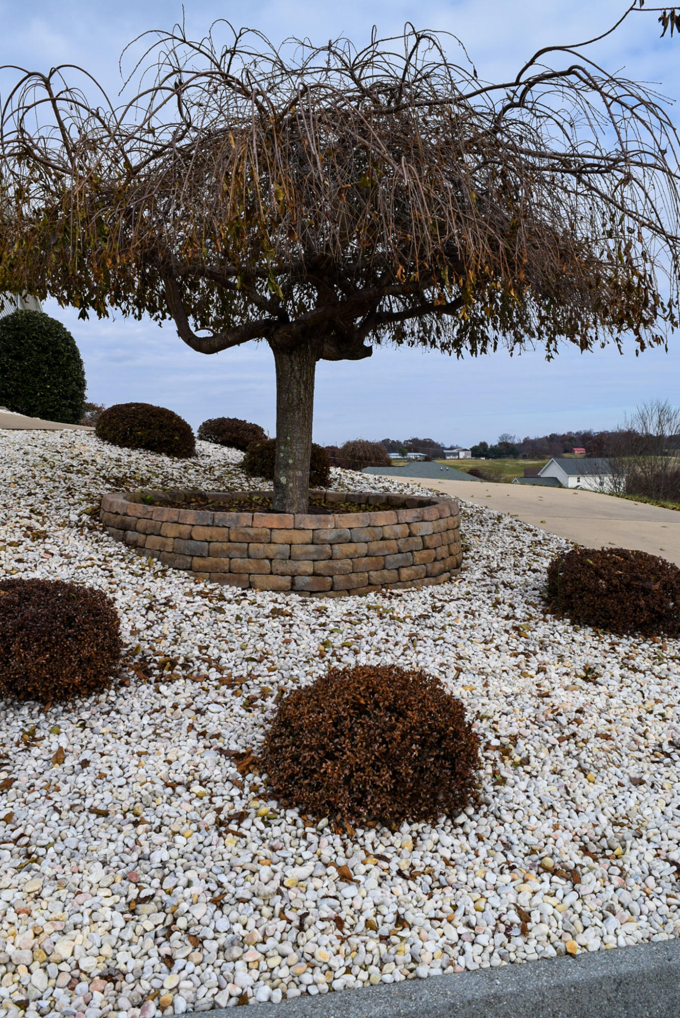 592 Sand Ridge Circle Jonesborough, TN 37659 - Photo 10 of 39 Custom landscaping