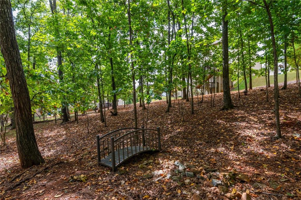 407 Ward Farm Drive Powder Springs, GA 30127 - Photo 53 of 67 a view of a backyard with trees