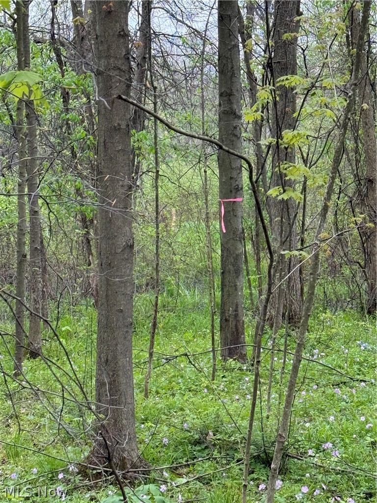 V/l Donley Road Middlefield, OH 44062 - Photo 25 of 30