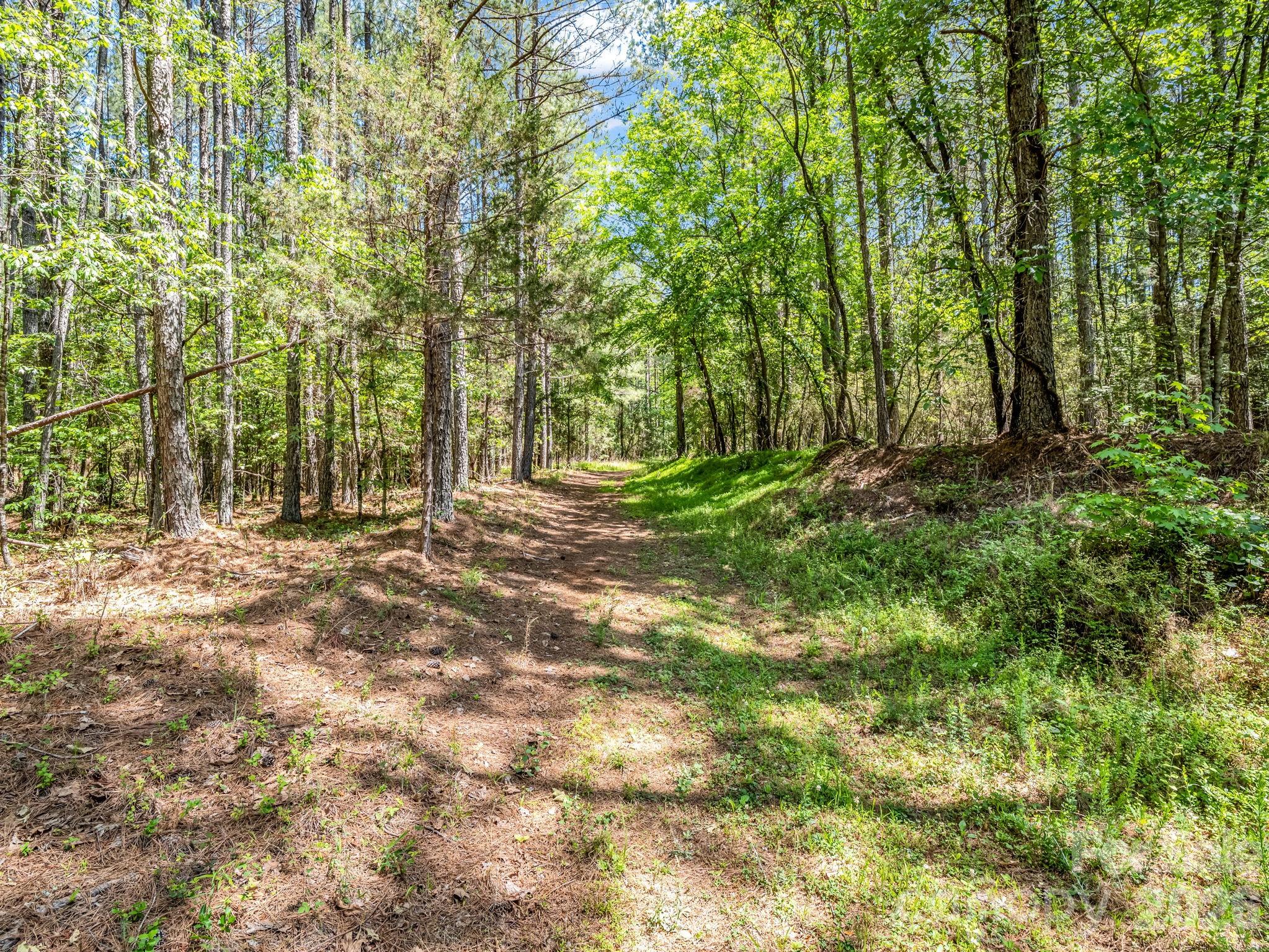 0 Jim Dobbins Road Rutherfordton, NC 28139 - Photo 2 of 39 a backyard of a house with lots of green space