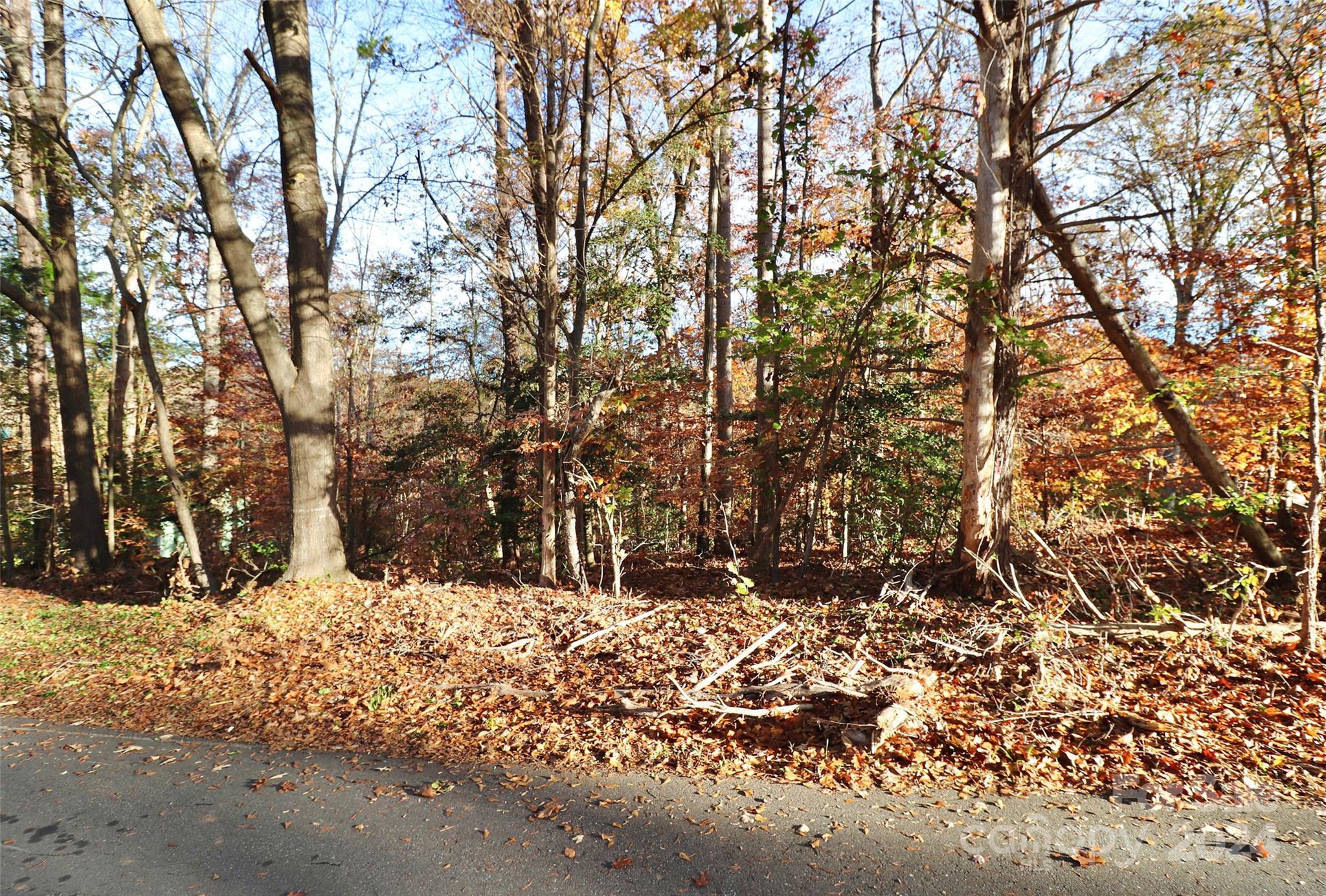 142 Mimosa Road Statesville, NC 28677 - Photo 11 of 13