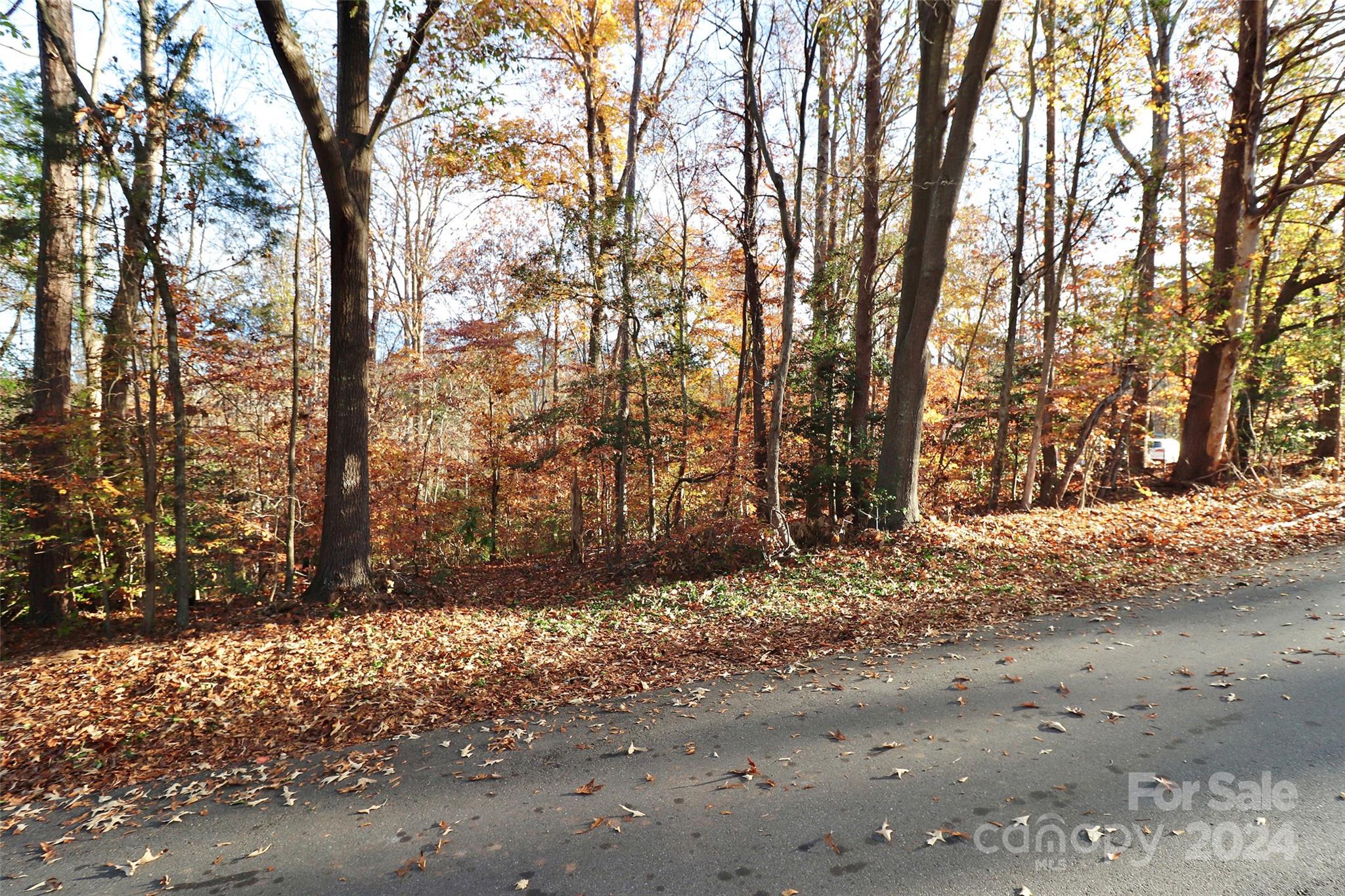 142 Mimosa Road Statesville, NC 28677 - Photo 12 of 13