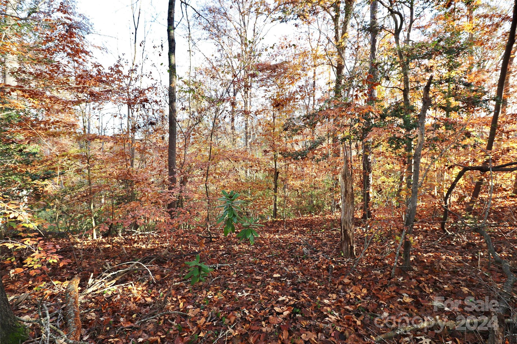 142 Mimosa Road Statesville, NC 28677 - Photo 13 of 13