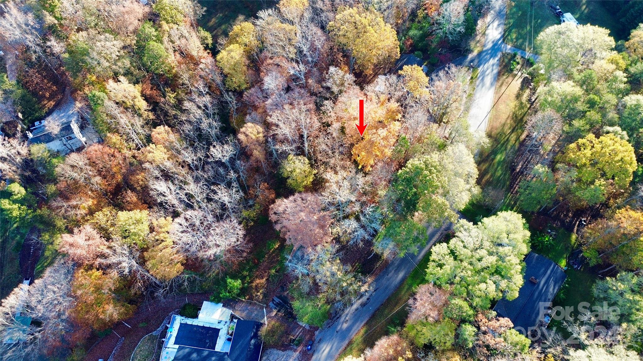 142 Mimosa Road Statesville, NC 28677 - Photo 2 of 13