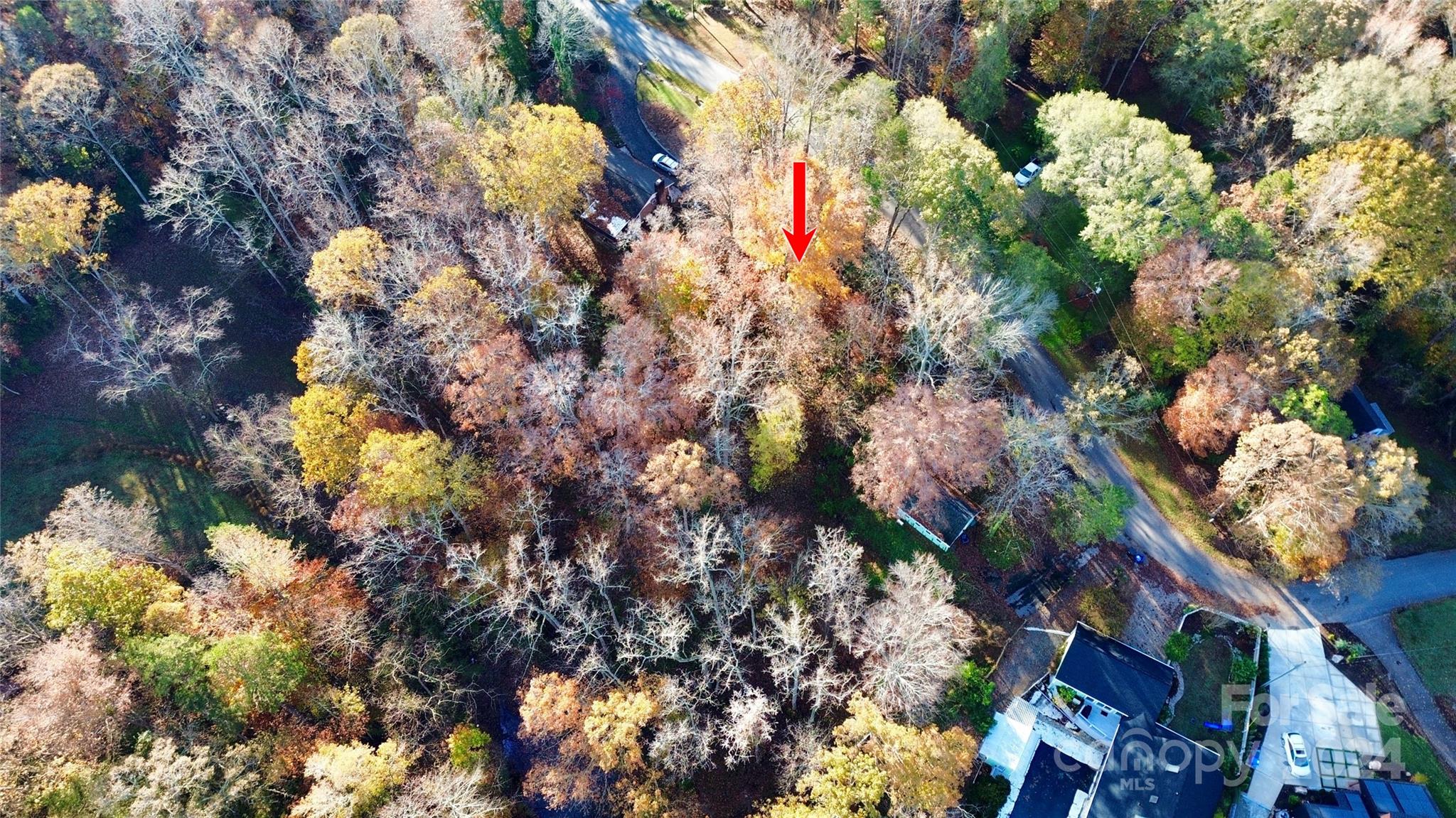 142 Mimosa Road Statesville, NC 28677 - Photo 3 of 13