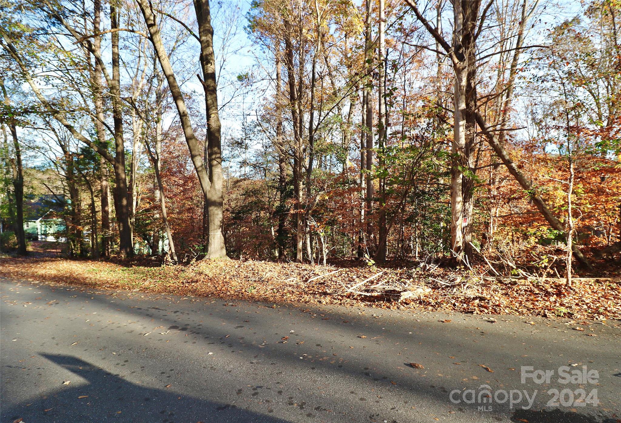 142 Mimosa Road Statesville, NC 28677 - Photo 10 of 13