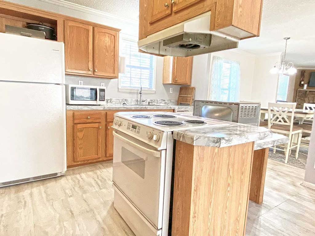 144 Faith Road Bishopville, SC 29010 - Photo 9 of 28 Gallery Image 9