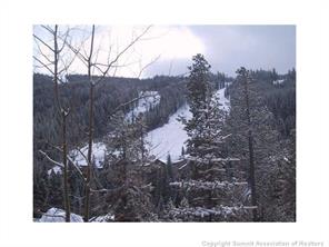 91 River Run Road, Unit 8105 Keystone, CO 80435 - Photo 9 of 10 Gallery Image 9