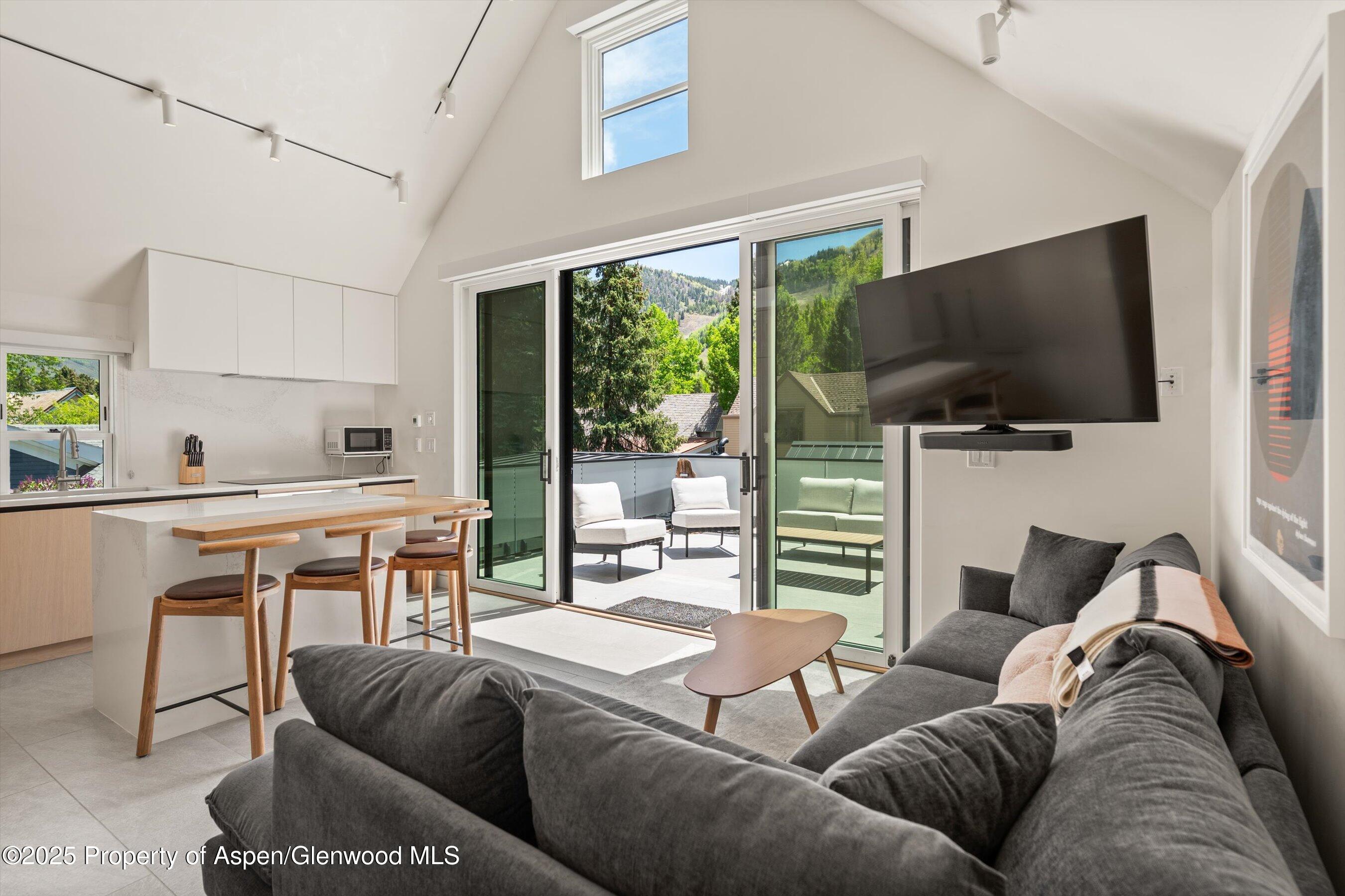 211 West Main Street Aspen, CO 81611 - Photo 33 of 67 16-211WMainSt_25052316