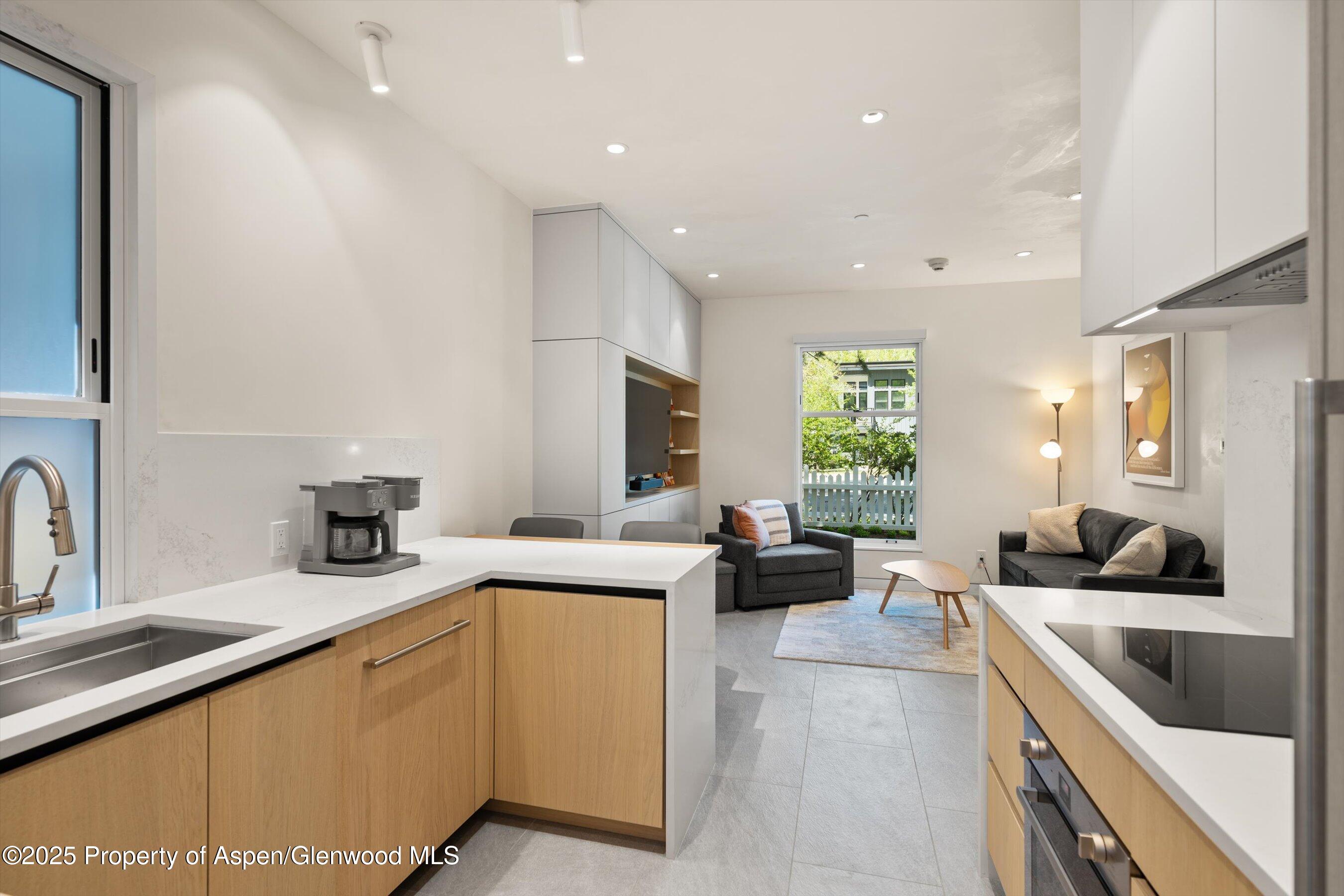 211 West Main Street Aspen, CO 81611 - Photo 48 of 67 27-211WMainSt_25052327