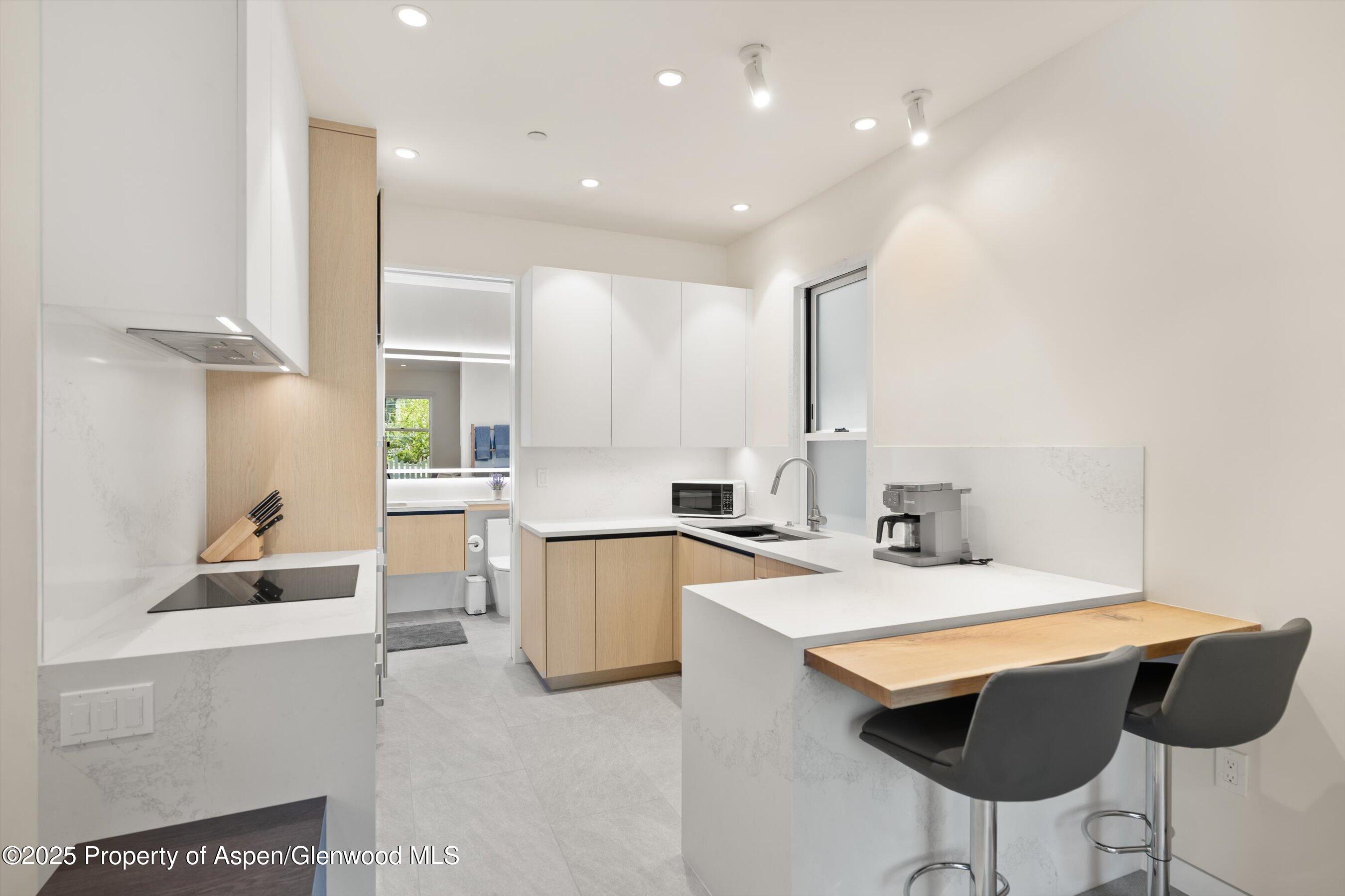 211 West Main Street Aspen, CO 81611 - Photo 49 of 67 28-211WMainSt_25052328