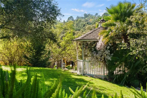a view of a yard with plants and large trees