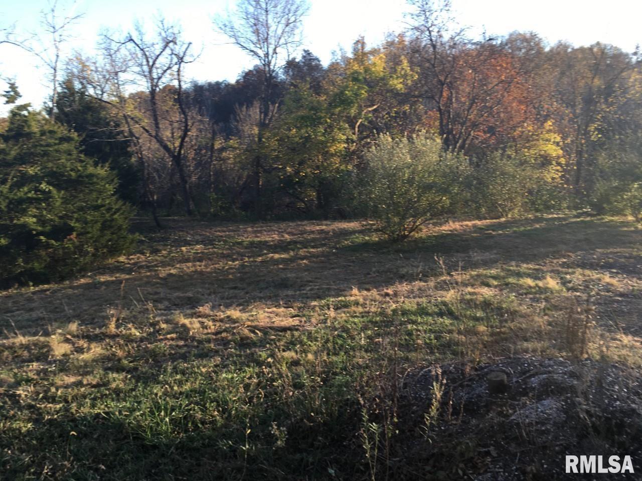 Big Valley Virginia, IL 62691 - Photo 2 of 9