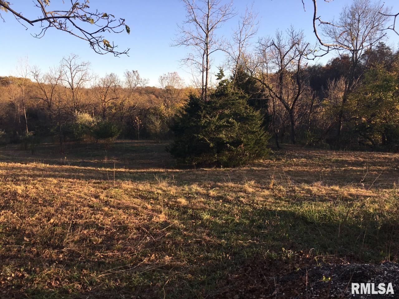 Big Valley Virginia, IL 62691 - Photo 3 of 9