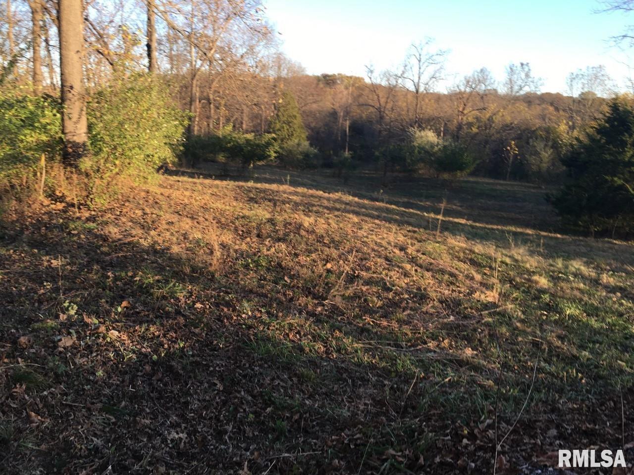 Big Valley Virginia, IL 62691 - Photo 6 of 9