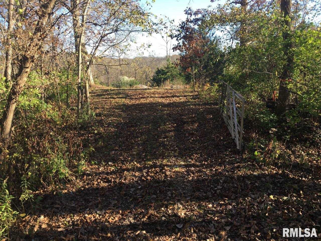 Big Valley Virginia, IL 62691 - Photo 7 of 9