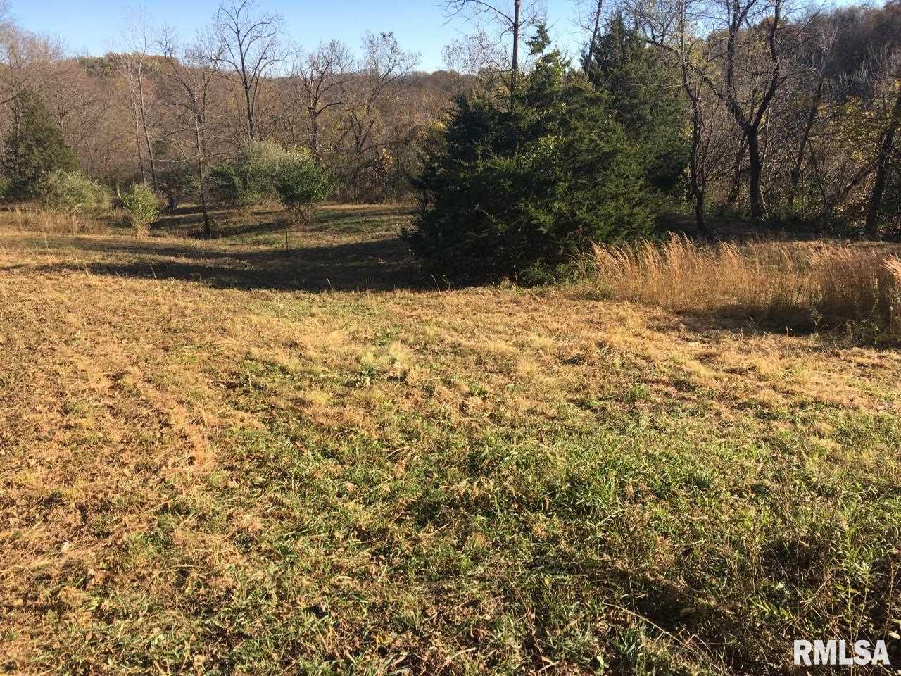 Big Valley Virginia, IL 62691 - Photo 9 of 9