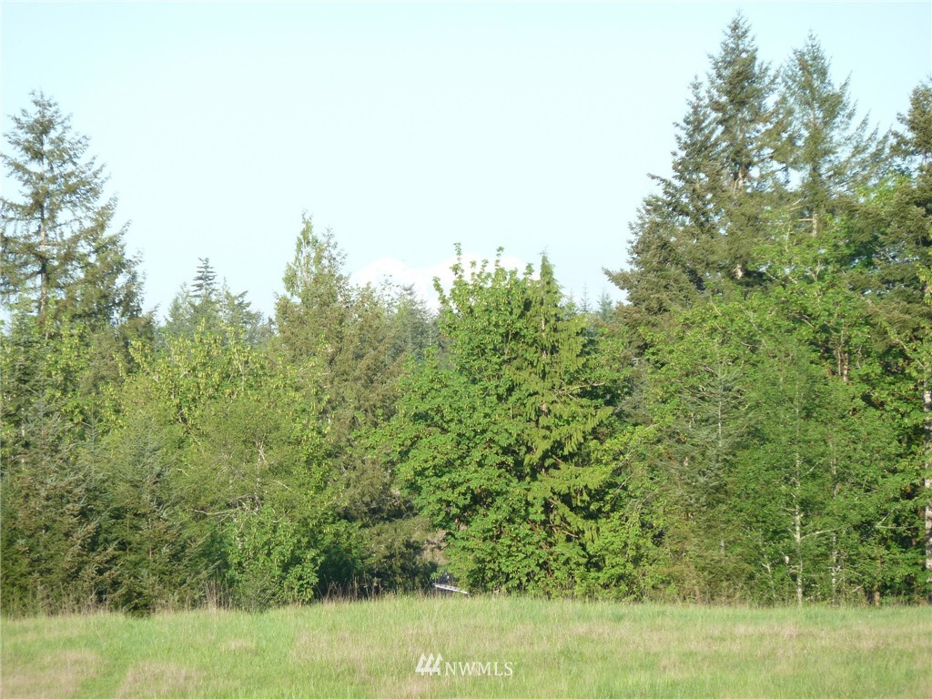 1 Smith Road Centralia, WA 98531 - Photo 2 of 13
