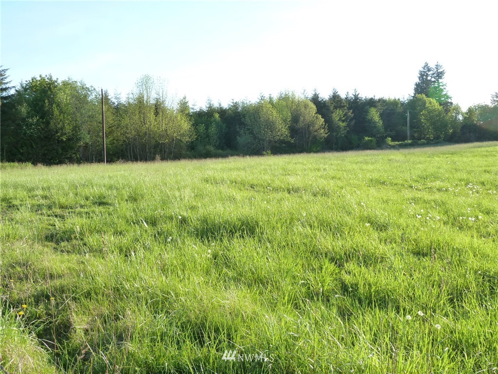 1 Smith Road Centralia, WA 98531 - Photo 3 of 13