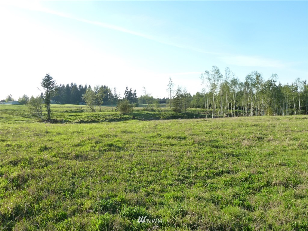 1 Smith Road Centralia, WA 98531 - Photo 4 of 13