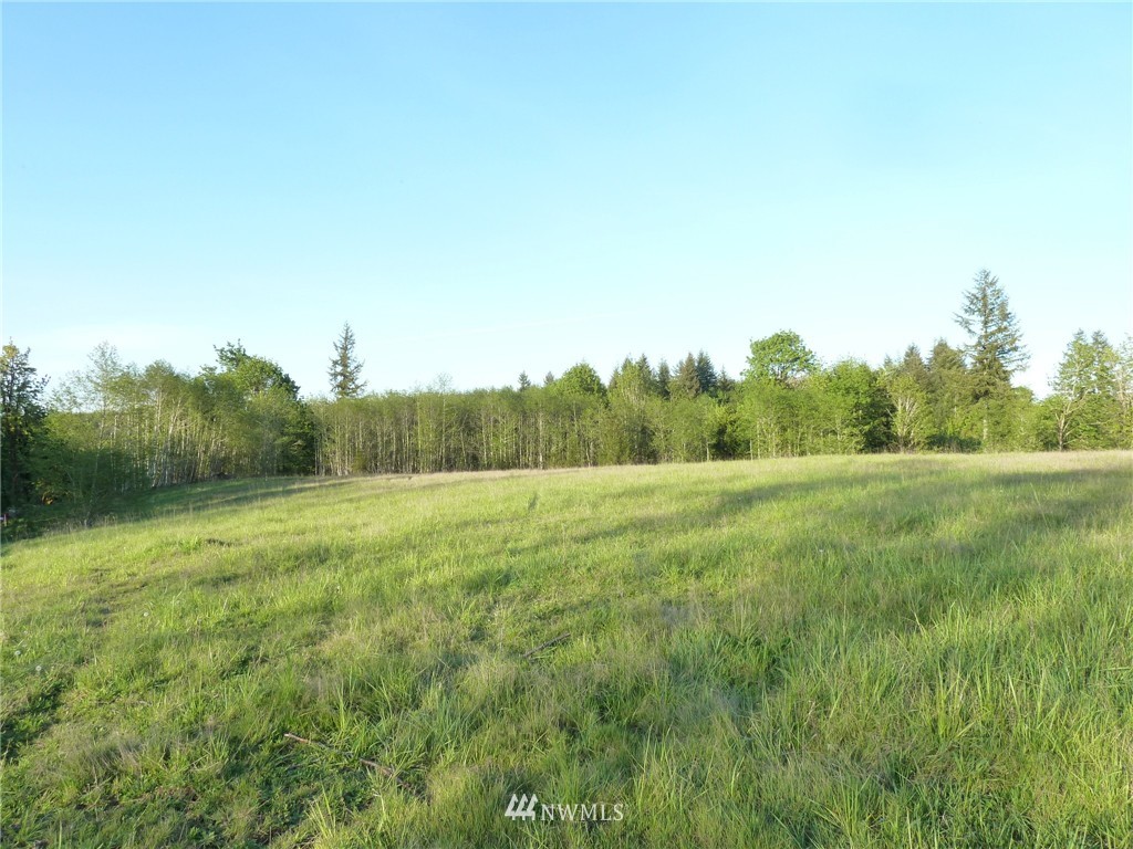 1 Smith Road Centralia, WA 98531 - Photo 6 of 13
