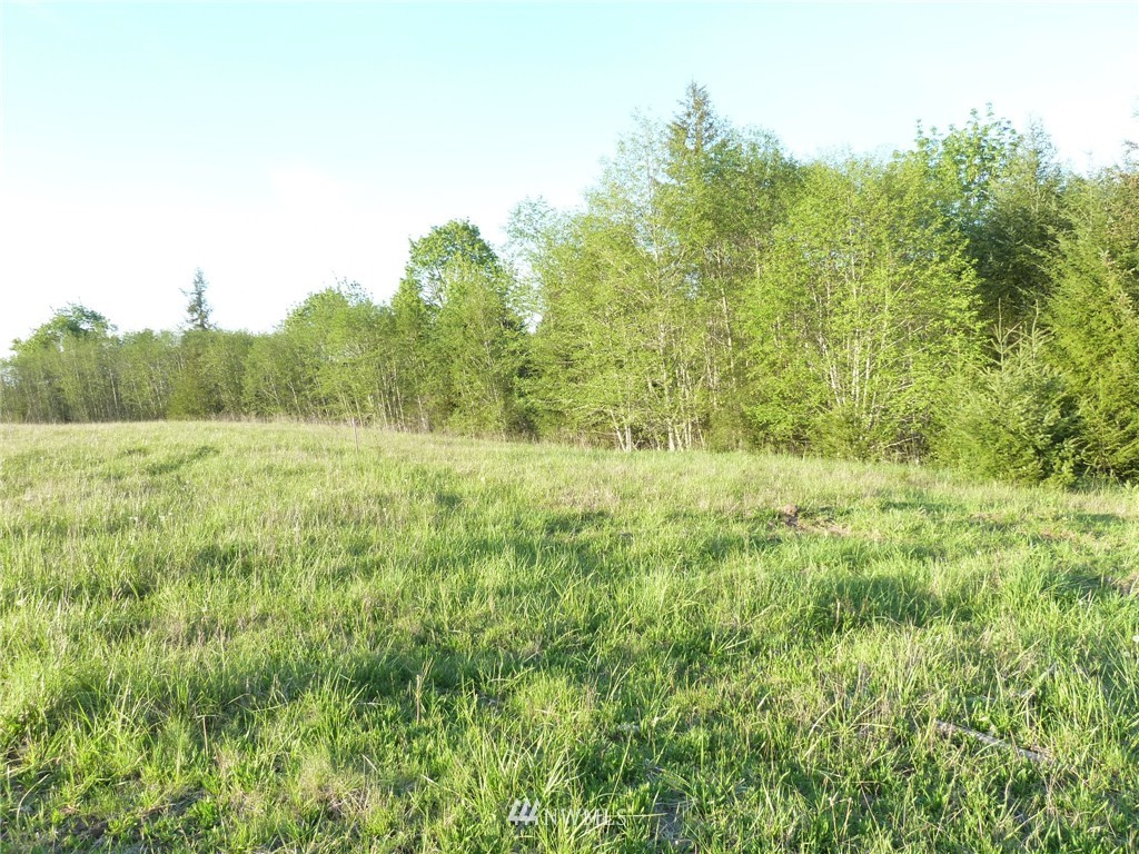 1 Smith Road Centralia, WA 98531 - Photo 7 of 13