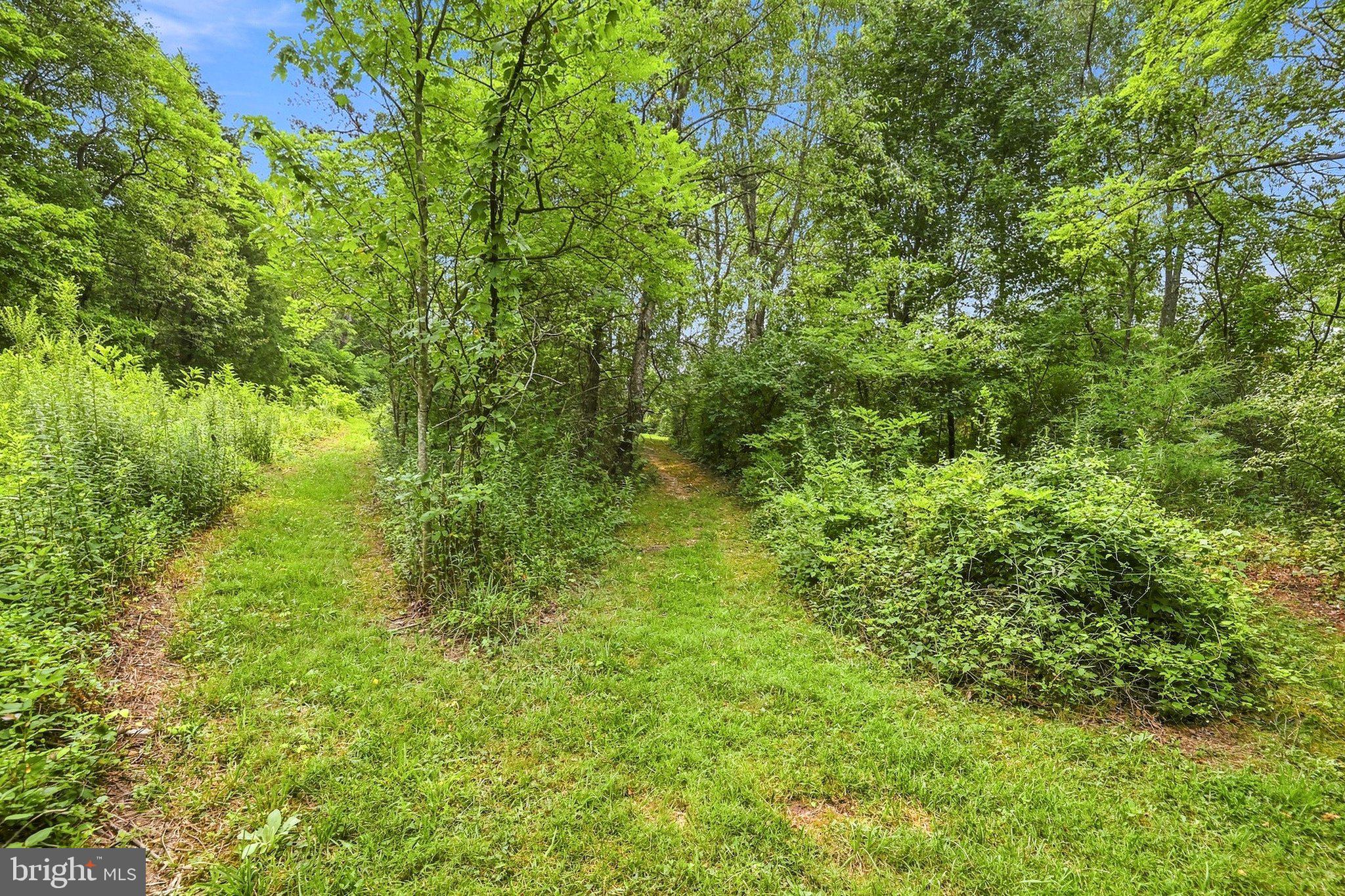 852 McDonald Road Winchester, VA 22602 - Photo 46 of 59 Back of the property is wooded & has walking paths