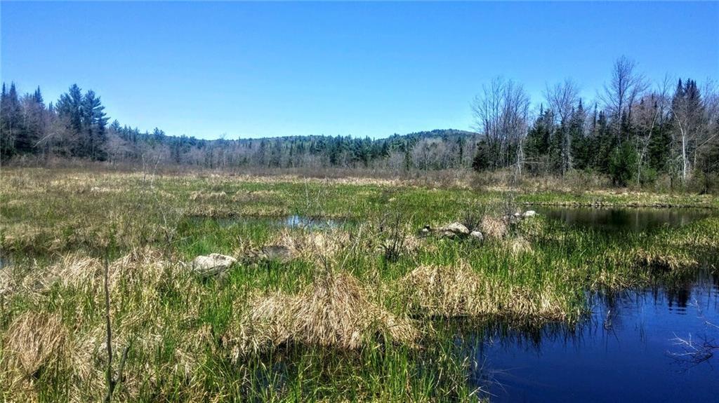 213 Lewis Hill Road West Newfield, ME 04095 - Photo 1 of 4 Pond on Property