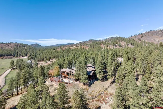 a view of a forest with mountains in the background