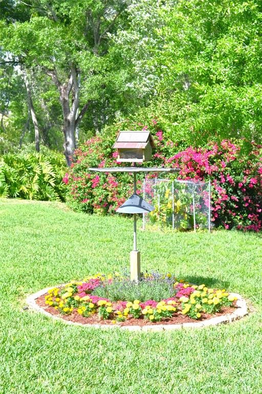 6901 Arabian Road Odessa, FL 33556 - Photo 60 of 70 Gallery Image 60