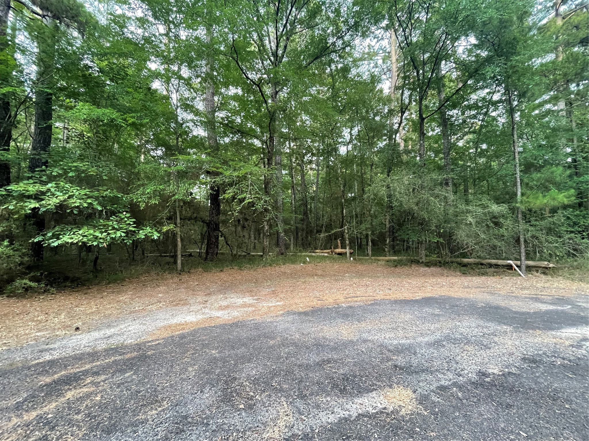 Tbd North Tbd N Clear Spring Road Trinity, TX 75862 - Photo 2 of 7 a backyard of a house with lots of green space