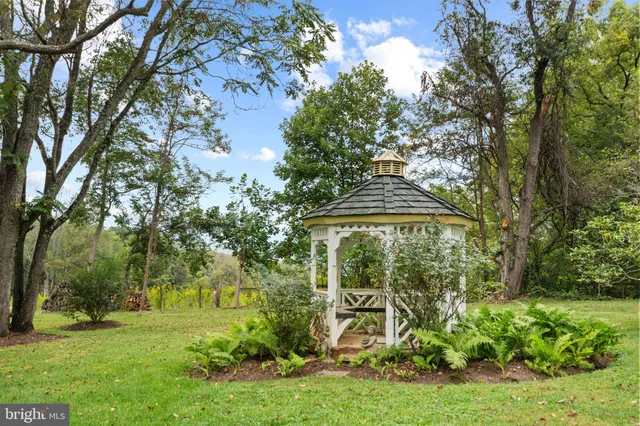 a view of a garden with a bench