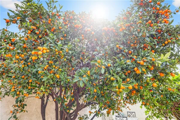 $750,000 | 1442 West G Street, Wilmington, CA 90744