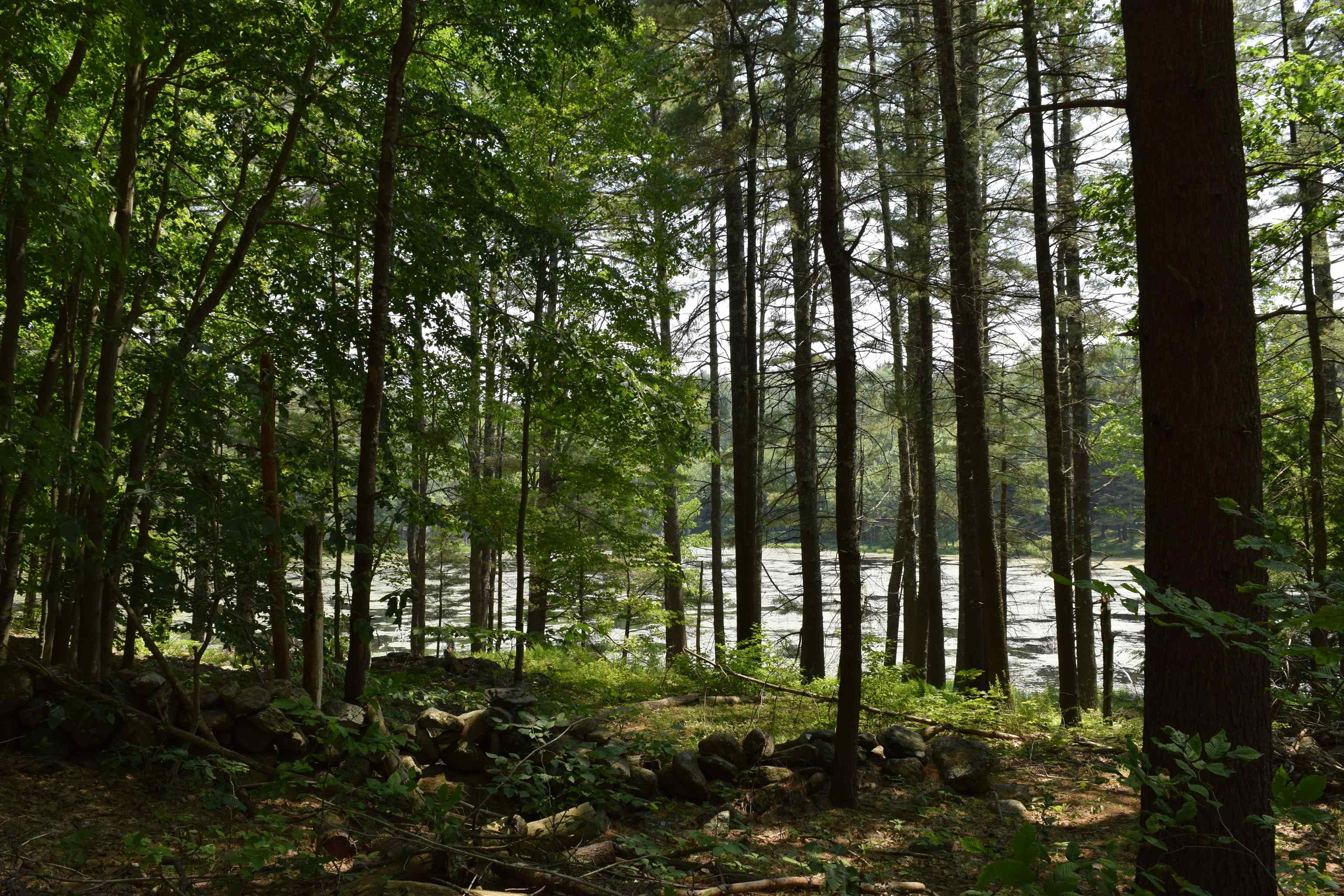 103 Old Center Road Deerfield, NH 03037 - Photo 2 of 4