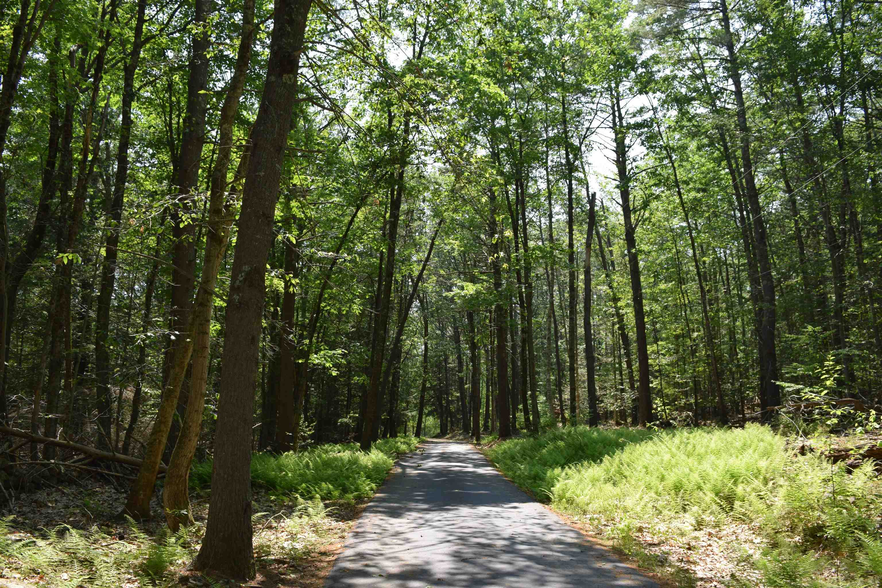 103 Old Center Road Deerfield, NH 03037 - Photo 4 of 4
