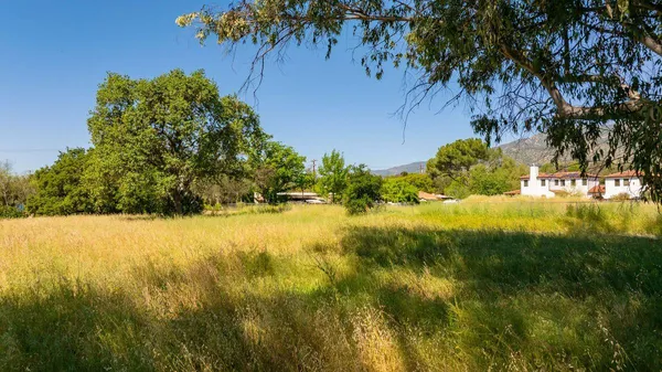 a view of a lake with a yard