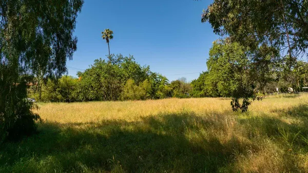 a view of a swimming pool with a yard