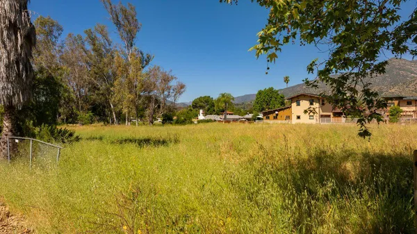 a view of a park with large trees