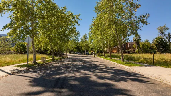 a view of a yard