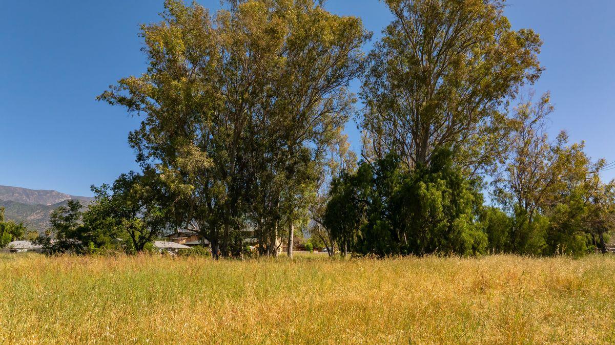 401 South Fulton Street Ojai, CA 93023 - Photo 8 of 30