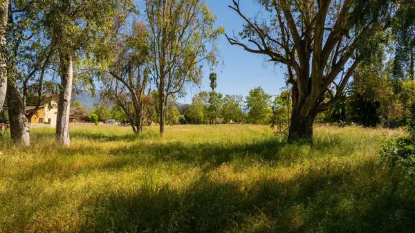 a view of an outdoor space and a yard