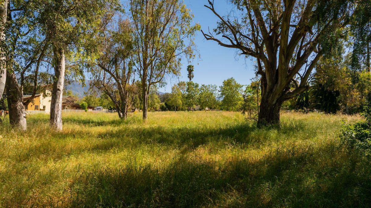 401 South Fulton Street Ojai, CA 93023 - Photo 10 of 30 a view of yard with green space