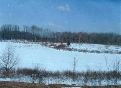 16351 10 Mile Road Reed City, MI 49677 - Photo 1 of 1 Primary Photo