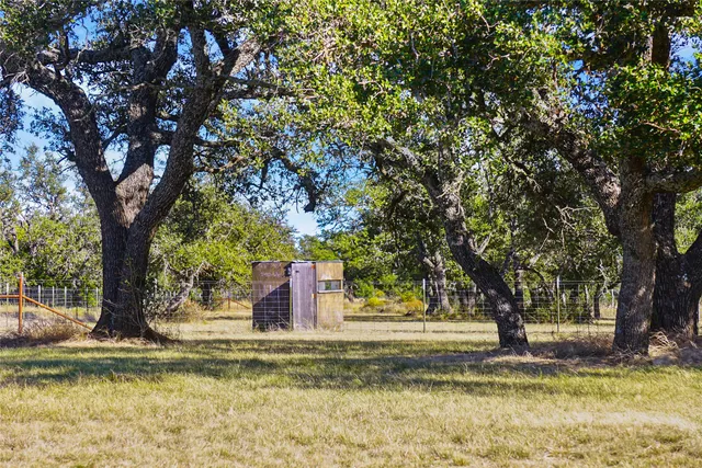 a view of a yard with a tree