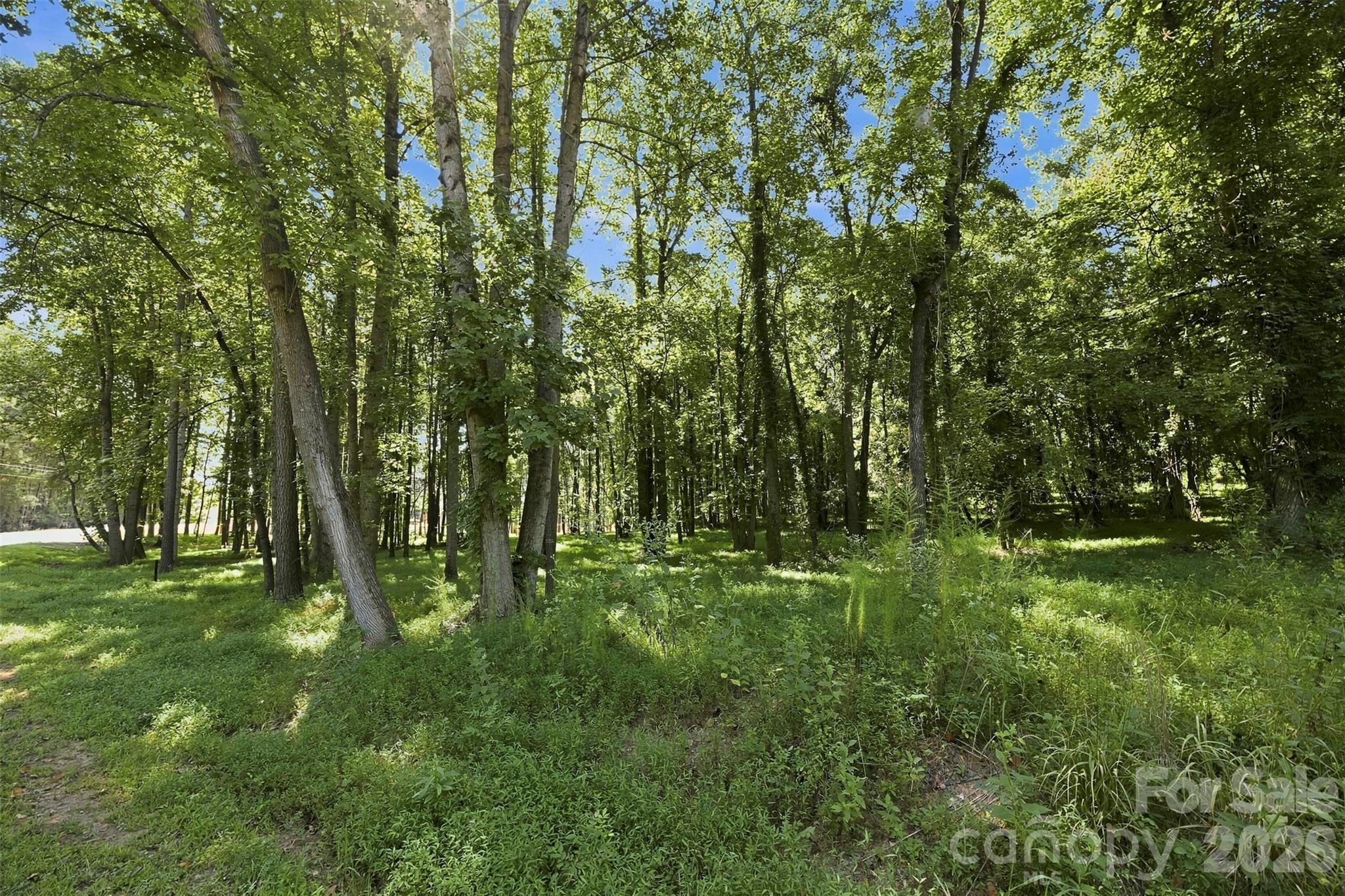 4277 Concord Road York, SC 29745 - Photo 5 of 12 Gallery Image 5