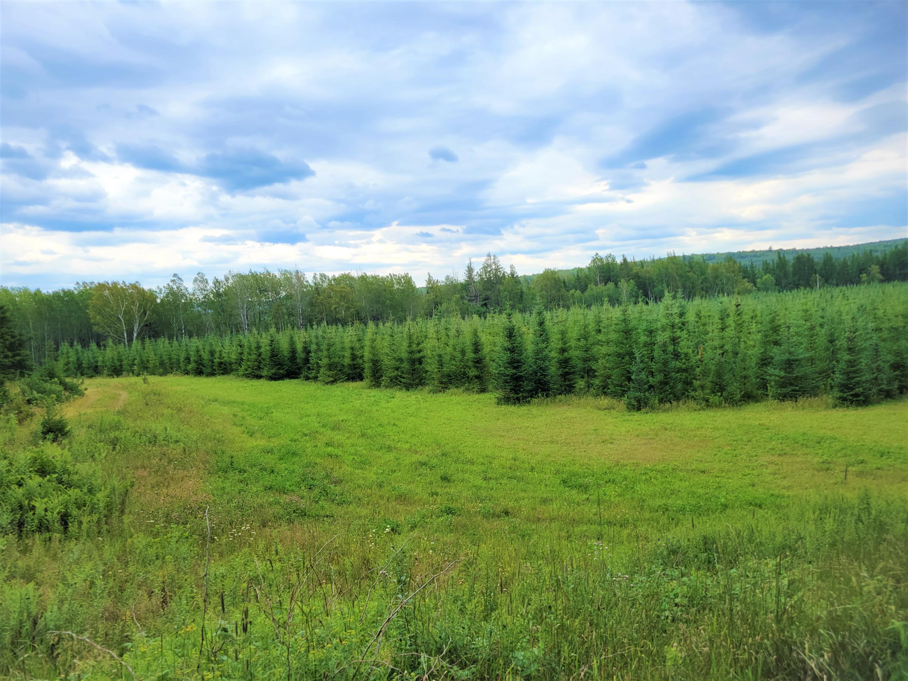 Map38-lot3 Doucette Road Grand Isle, ME 04746 - Photo 15 of 25 9
