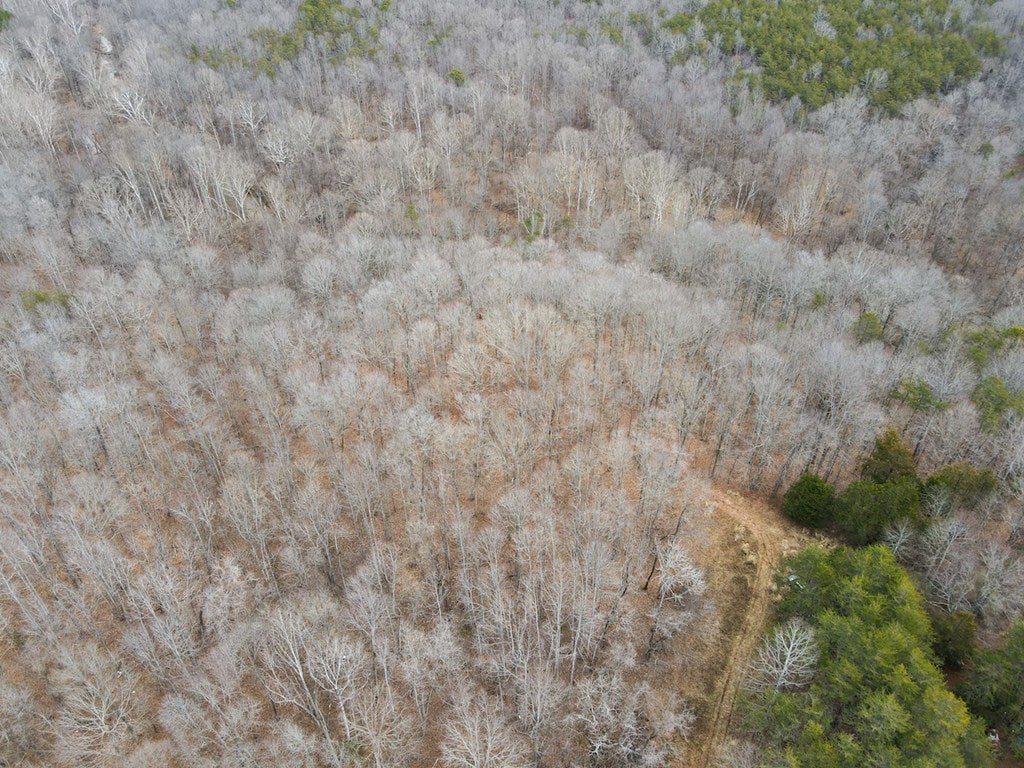 Water Oak Road Callands, VA 24530 - Photo 10 of 23 Gallery Image 10