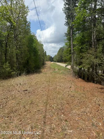 $200,000 | 347 Old Highway 49 East, Hattiesburg, MS 39401